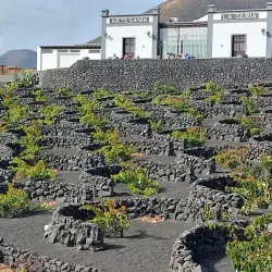 La Geria - Lanzarote