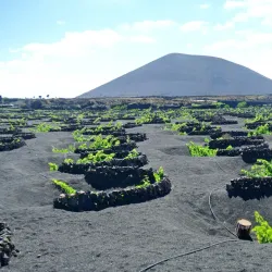 La Geria - Lanzarote