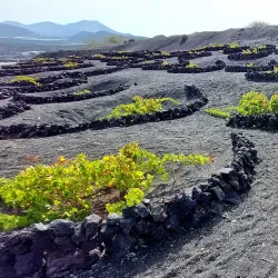 La Geria - Lanzarote