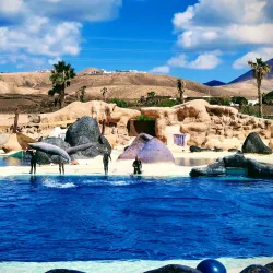 Rancho Texas Lanzarote Park - Lanzarote