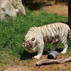 Rancho Texas Lanzarote Park - Lanzarote