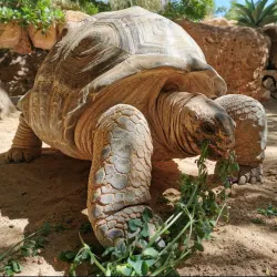 Rancho Texas Lanzarote Park - Lanzarote