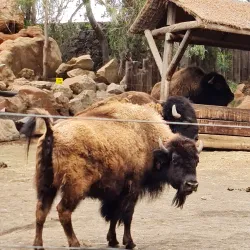 Rancho Texas Lanzarote Park - Lanzarote
