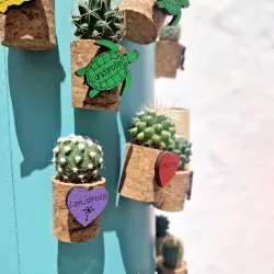 Teguise Market - Lanzarote