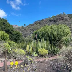 Jardín Botánico Canario Viera y Clavijo - Las Palmas de Gran Canaria
