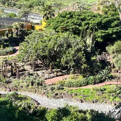 Jardín Botánico Canario Viera y Clavijo - Las Palmas de Gran Canaria