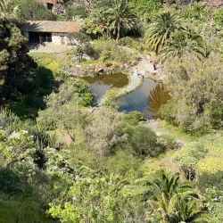 Jardín Botánico Canario Viera y Clavijo - Las Palmas de Gran Canaria
