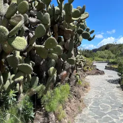 Jardín Botánico Canario Viera y Clavijo - Las Palmas de Gran Canaria