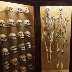 Museo Canario - Las Palmas de Gran Canaria