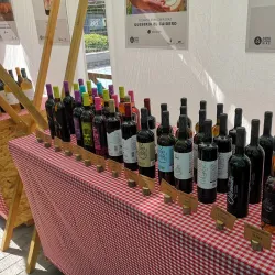 Plaza de Santa Ana - Las Palmas de Gran Canaria