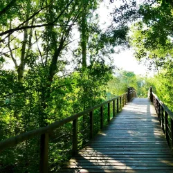 Parc de la Mitjana - Lerida (Lleida)