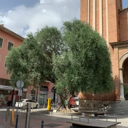 Església de Santa Eulàlia de Mèrida - L'Hospitalet de Llobregat