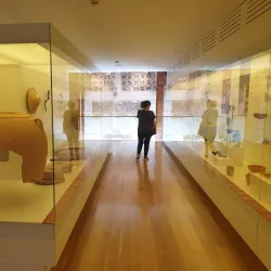 Museo de la Rioja - Logroño (Logrono)