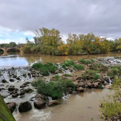 Parque de La Ribera - Logroño (Logrono)