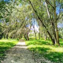 Parque del Ebro - Logroño (Logrono)