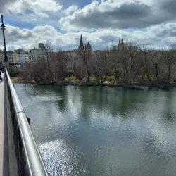 Puente de Piedra - Logroño (Logrono)