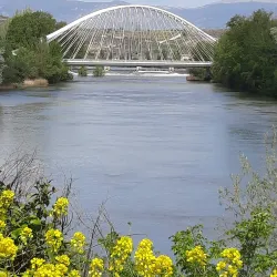 Puente de Piedra - Logroño (Logrono)