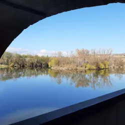 Puente de Piedra - Logroño (Logrono)