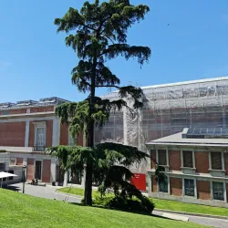 Prado Museum (Museo del Prado) - Madrid