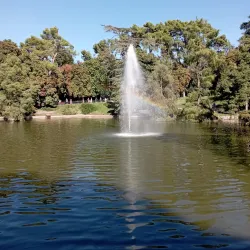 Retiro Park (Parque del Retiro) - Madrid