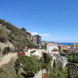 Alcazaba of Malaga - Malaga