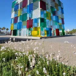 Centre Pompidou Malaga - Malaga