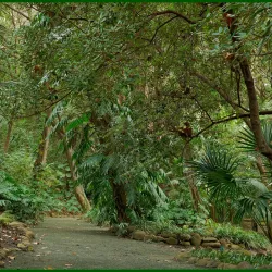 Jardin Botanico-Historico La Concepcion - Malaga