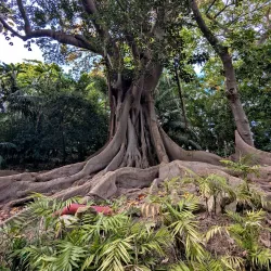 Jardin Botanico-Historico La Concepcion - Malaga