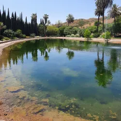 Jardin Botanico-Historico La Concepcion - Malaga