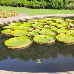 Jardin Botanico-Historico La Concepcion - Malaga