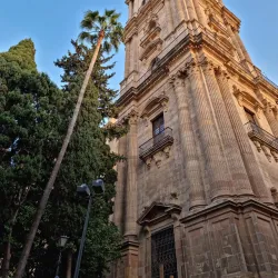Malaga Cathedral - Malaga