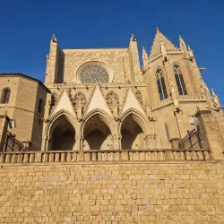 Basilica of Santa Maria de la Seu - Manresa