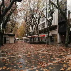 Passeig de Pere III - Manresa