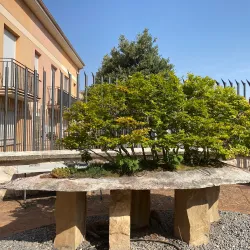 Bonsai Museum (Museo del Bonsái) - Marbella