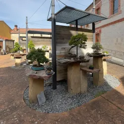 Bonsai Museum (Museo del Bonsái) - Marbella