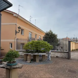 Bonsai Museum (Museo del Bonsái) - Marbella