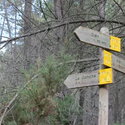 La Concha Mountain - Marbella