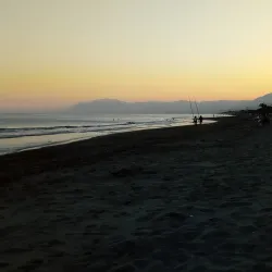 Marbella Beaches - Marbella