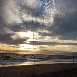 Marbella Beaches - Marbella