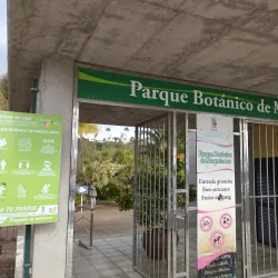 Maspalomas Botanical Garden (Jardín Botánico Canario Viera y Clavijo) - Maspalomas