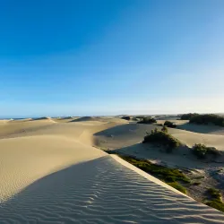 Maspalomas Dunes - Maspalomas