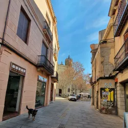 Basilica of Santa Maria de Mataró - Mataro