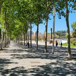Parc Central de Mataró - Mataro
