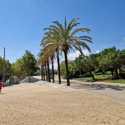 Parc Central de Mataró - Mataro