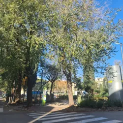 Plaça de les Tereses - Mataro