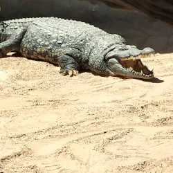 Parque de La Canaleta Children's Playground - Mislata