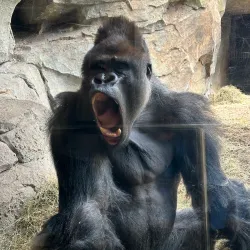 Parque de La Canaleta Children's Playground - Mislata