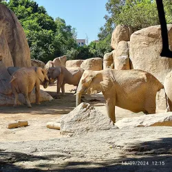 Parque de La Canaleta Walking Trails - Mislata