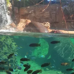 Parque de La Canaleta - Mislata