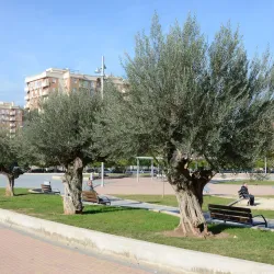 Plaza Mayor de Mislata - Mislata